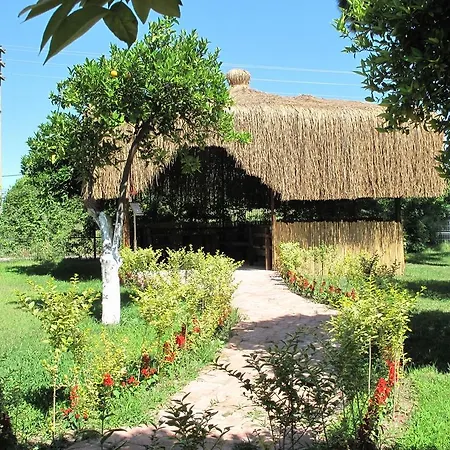 Batont Garden 3* Göynük